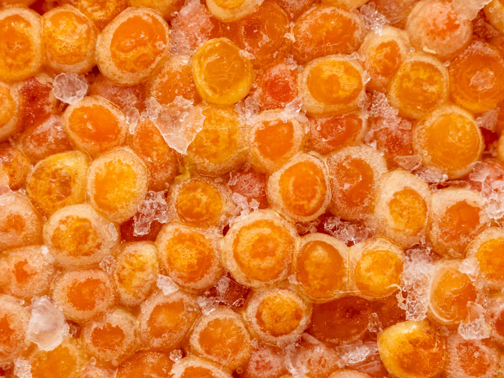 Alaska Salted Salmon Roe - Image 4
