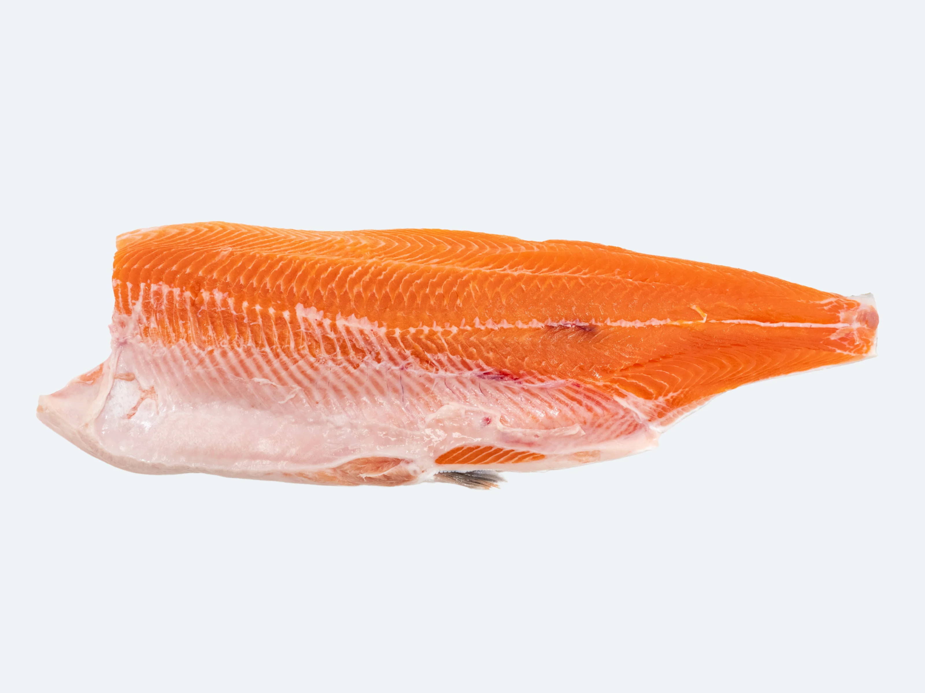 Arctic Char (Whole Fish) - Image 4