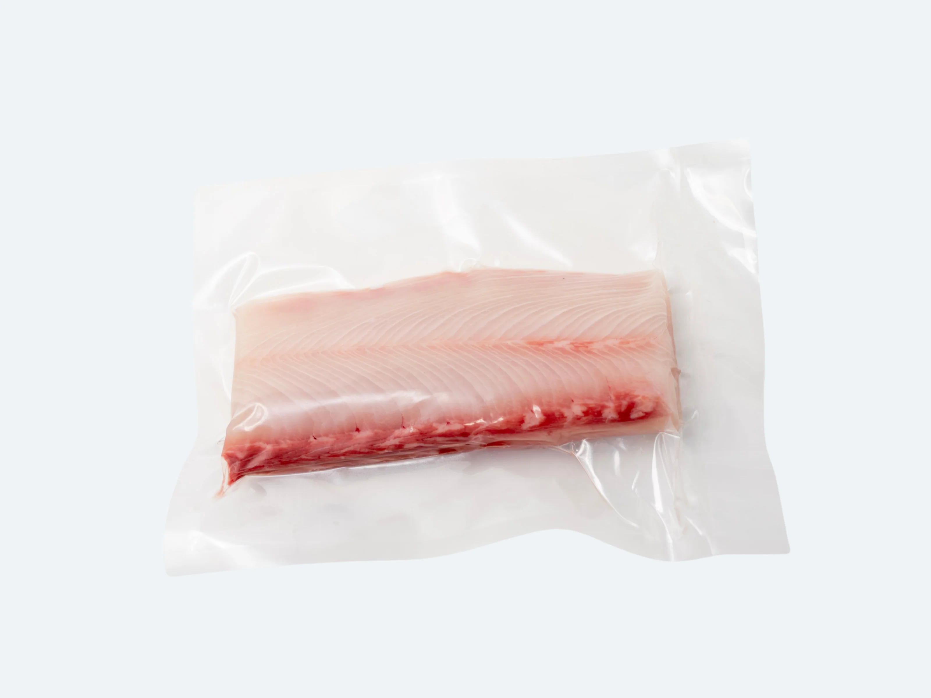 Hiramasa Saku | Yellowtail Amberjack - Image 10