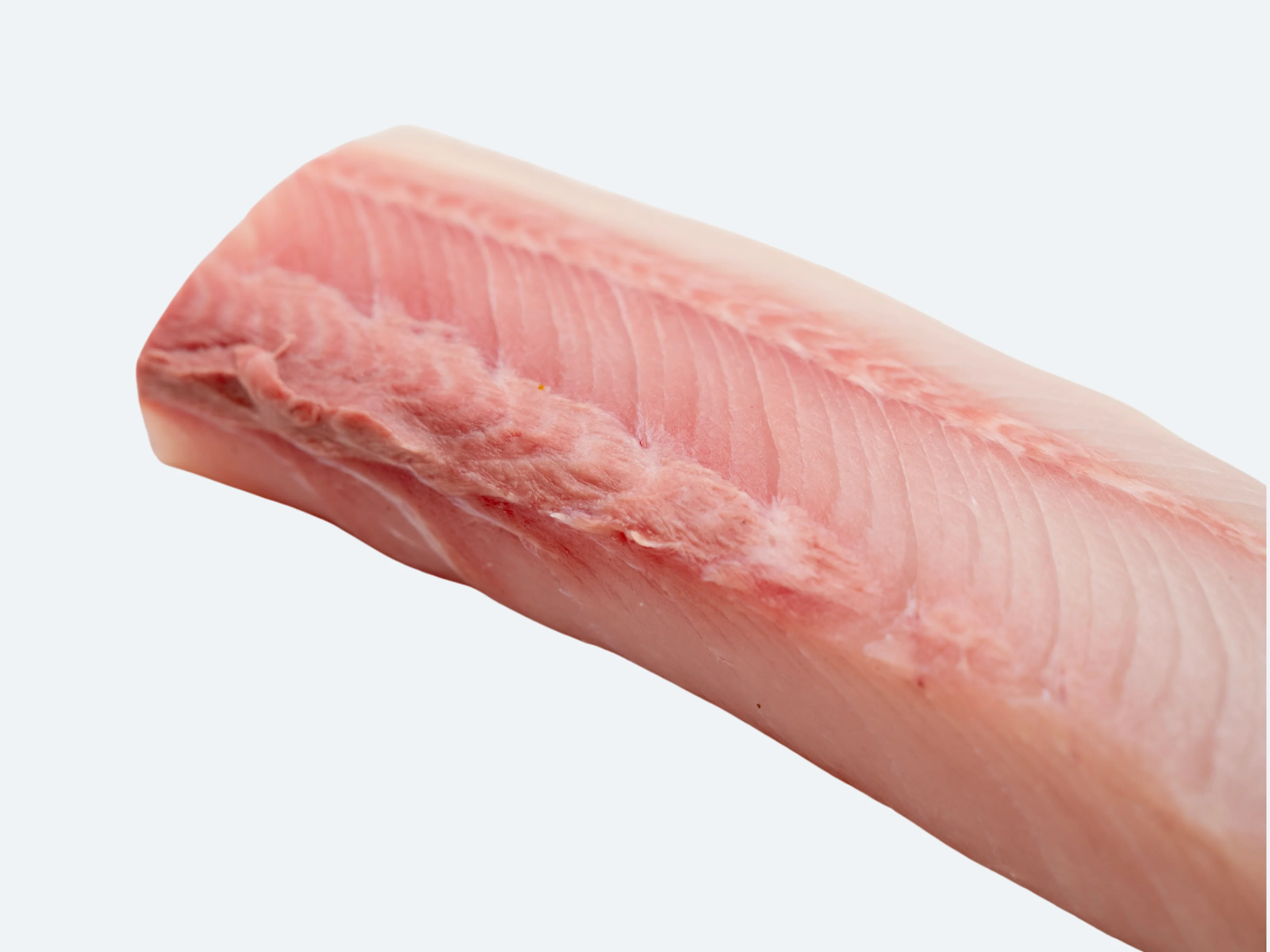 Hiramasa Saku | Yellowtail Amberjack - Image 3