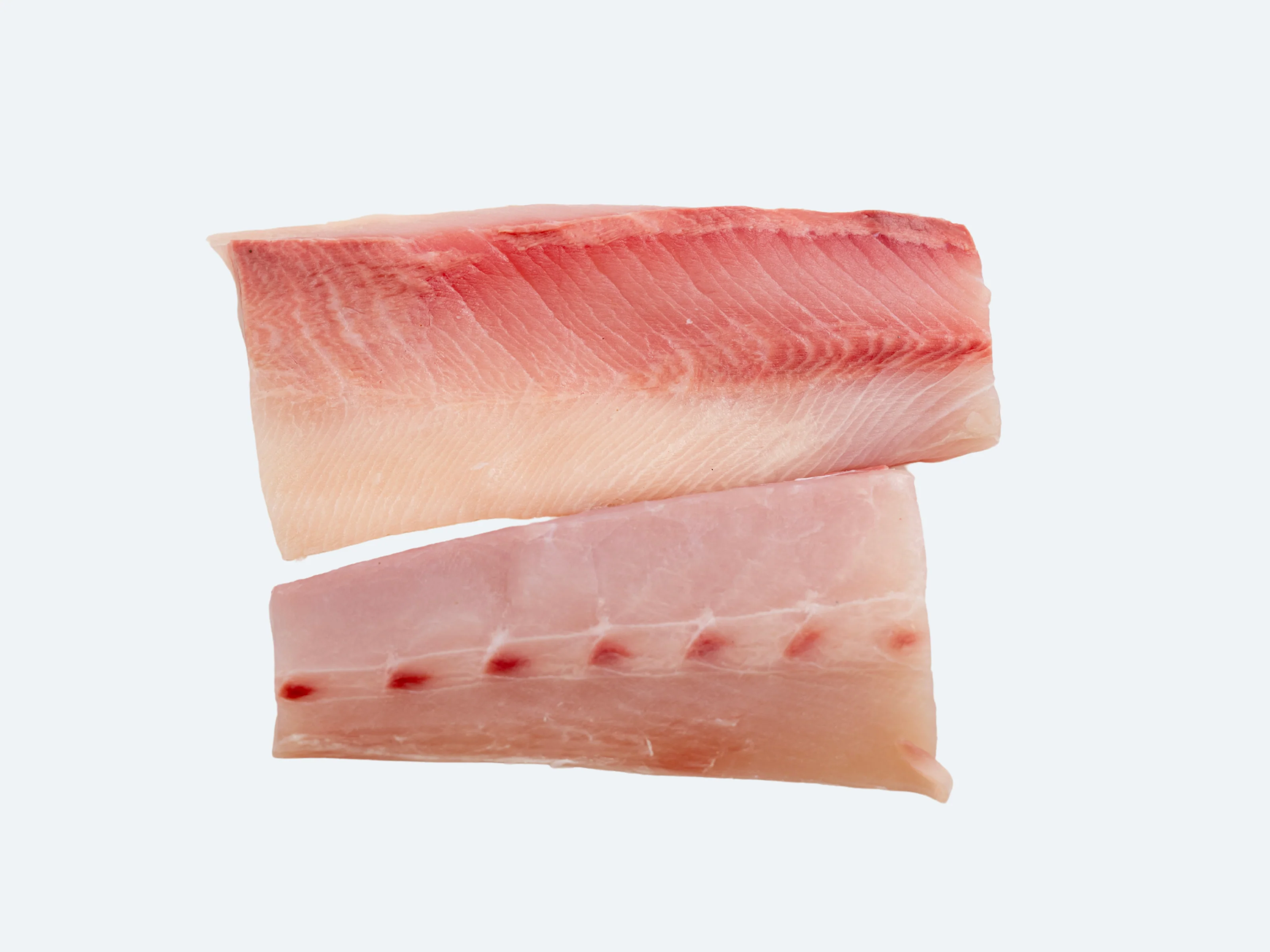 Hiramasa Saku | Yellowtail Amberjack - Image 7