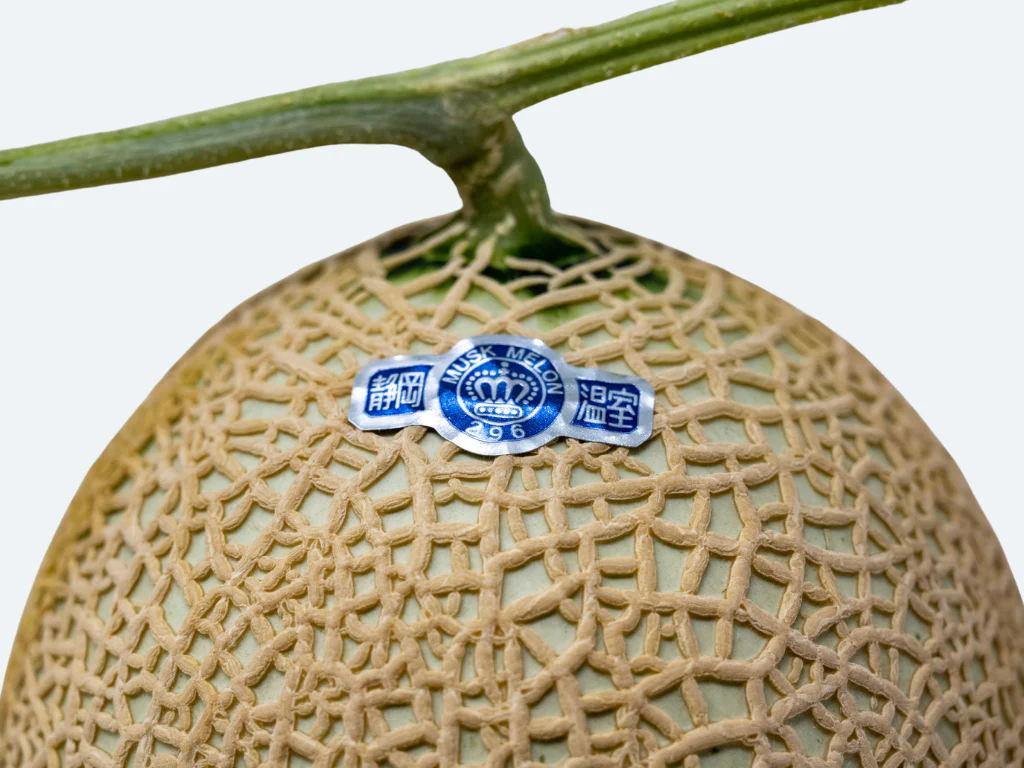Japanese Crown Melon - Image 3