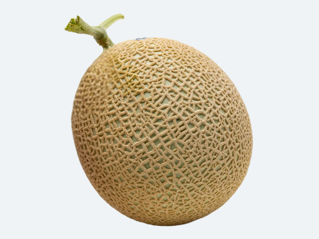 Japanese Crown Melon - Image 4