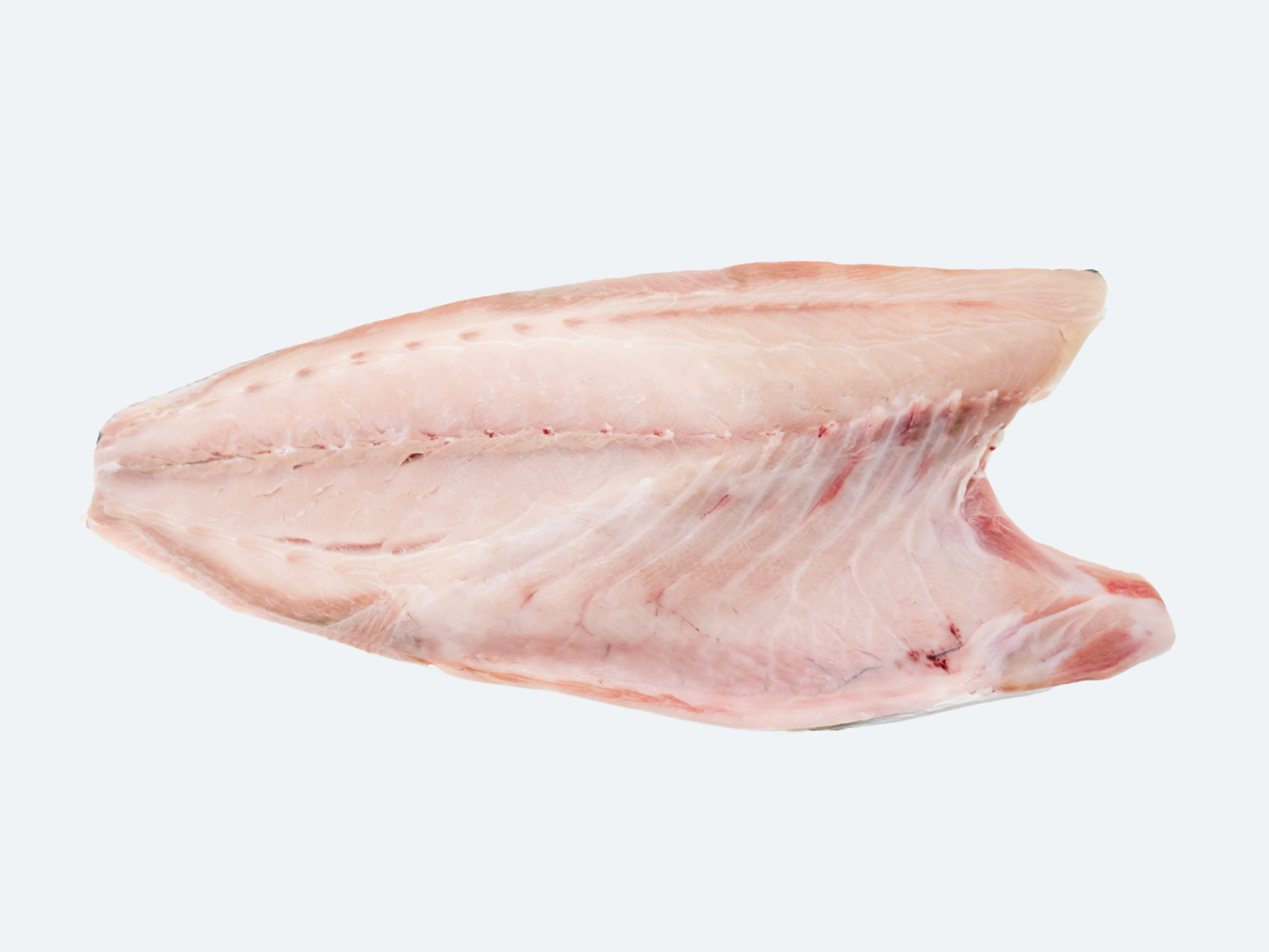 Japanese Hamachi (Yellowtail) Fillet - Image 3