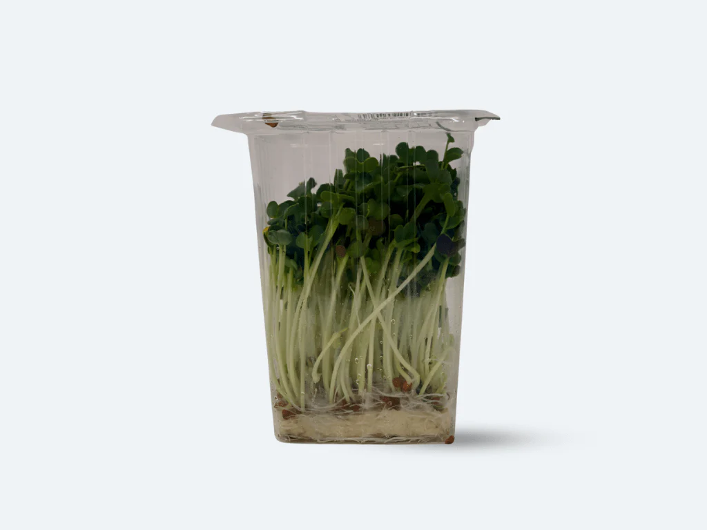 Kaiware Sprouts - Image 2